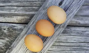 Czy jajka naprawdę podwyższają cholesterol? Fakty i mity o ich wpływie na zdrowie