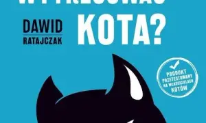 Jak wytresować kota skutecznie i bez stresu dla zwierzaka