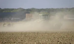 Jak się pisze kurz? Odkryj najczęstsze błędy w pisowni