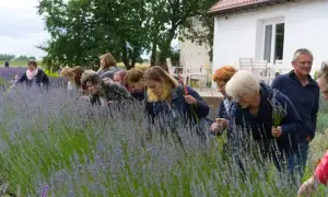Zagroda edukacyjna jak założyć - uniknij najczęstszych błędów