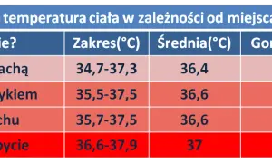 Kiedy z dzieckiem na pogotowie? Temperatura alarmowa i objawy