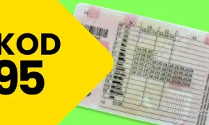 Prawo jazdy kat C kod 95 co oznacza i jak zdobyć uprawnienia?