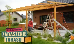 Jak zrobić osłonę tarasu - proste sposoby na ochronę przed wiatrem