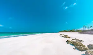 Kenia kiedy jechać: najlepszy czas na safari i plażowanie