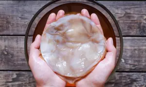 Jak przechowywać grzybek kombucha, aby nie stracił zdrowia i smaku