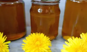 Jak zrobić miód z mleczy - prosty przepis na pyszny miód z mniszka
