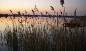 Jezioro Białe Uścimowskie: idealne miejsce na wędkowanie i relaks