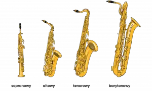 Rodzaje saksofonów - poznaj najważniejsze instrumenty i ich różnice w graniu