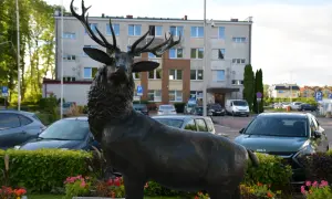 Rzeźba jelenia w Mielnie – odkryj jej wyjątkowe znaczenie i historię