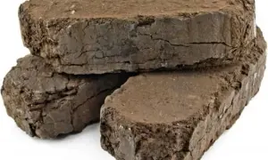 Gdzie kupić brykiet torfowy? Najlepsze miejsca i porównanie cen