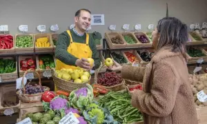 Ile można zarobić na warzywniaku? Przełamujemy mit o dochodach w branży.