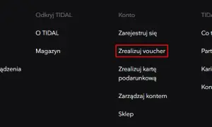 Gdzie wpisać kod w TIDAL? Proste kroki, by nie zgubić promocji