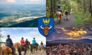 Najlepsze stadniny koni w Żywcu – usługi, opinie i lokalizacje