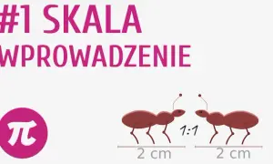 Co to jest skala w matematyce? Zrozumienie i zastosowanie w praktyce