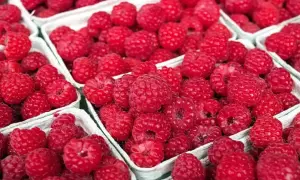 Jak zrobić sok malinowy z sokownika - prosta receptura na pyszny smak