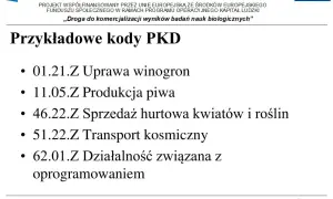 Kody PKD zwolnione z ZUS: Uniknij wysokich składek i zaoszczędź pieniądze