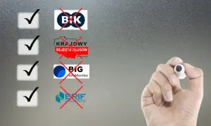 Gdzie dostanę pożyczkę bez BIK i KRD? Sprawdź, jak uniknąć problemów