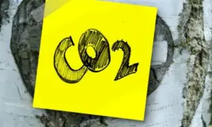 Emisja CO2 w Polsce: Jak znacząco spadły emisje i co to oznacza?