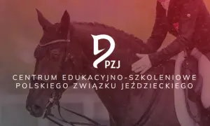 Akademia jeździecka - odkryj tajniki skutecznego szkolenia jeździeckiego