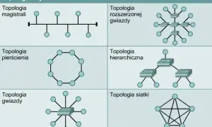 Co to jest topologia sieci? Kluczowe informacje i przykłady