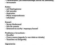 Wyjazd z dzieckiem na Litwę: jakie dokumenty są naprawdę potrzebne?