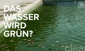 Grünes Poolwasser? Erfahren Sie, wie Sie mit Hausmitteln den Chlorgehalt senken und das Wasser wieder klar bekommen.