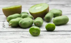 Mini kiwi, idealne do uprawy w doniczce, leżą obok przekrojonych owoców na drewnianym tle.