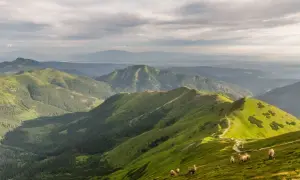 Szczawnica jakie góry – odkryj najpiękniejsze szczyty i trasy