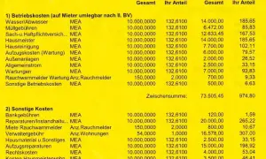 Aufstellung der Betriebskosten. Hier sehen Sie, wieviel Nebenkosten pro Person anfallen, aufgeschlüsselt nach Kategorien wie Wasser, Hausmeister und Reparaturen.