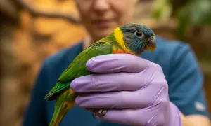 Ile zarabia weterynarz w zoo? Zaskakujące fakty o wynagrodzeniach