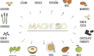 Fonti di magnesio: arachidi, legumi, crusca, peperoni, noci, mandorle, asparagi, semi di girasole, semi di zucca, cioccolato fondente, spinaci, avena, riso integrale, pinoli, mele verdi.