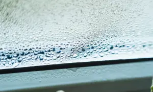 Zaparowane szyby w domu, krople wody tworzą na nich wzory. W tle widać zielone liście rośliny.