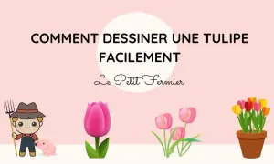 Un fermier et son cochon observent un dessin de tulipe. Le titre indique "Comment dessiner une tulipe facilement".