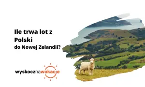 Ile się leci do Nowej Zelandii? Owca na tle zielonych wzgórz i zatoki zaprasza do podróży.