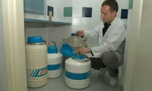 Ile można zarobić na oddawaniu nasienia w banku spermy w Polsce?