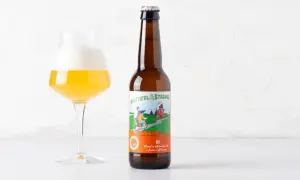 Bicchiere di birra dorata con schiuma bianca accanto a una bottiglia di birra "Beautiful & Strange" Gose, una birra salata dal gusto unico.
