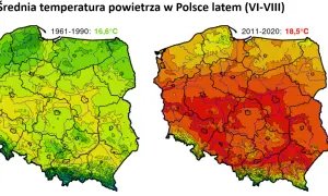 Klimat Dfa: Co oznacza "gorące lato" i czy dotrze do Polski?