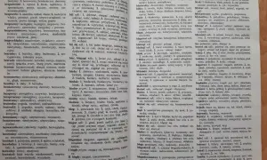 Słownik bliskoznaczny – wzbogac swoje słownictwo i unikaj powtórzeń