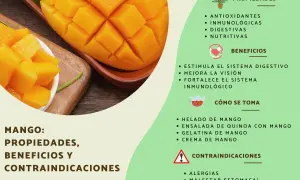 Mango: propiedades antioxidantes, inmunológicas y digestivas. Beneficios para la visión y el sistema inmune.