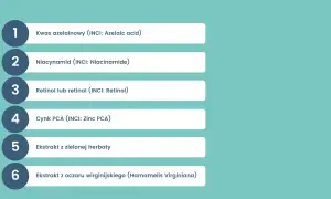 Lista kluczowych składników aktywnych w kosmetykach: kwas azelainowy, niacynamid, retinol, cynk PCA, ekstrakt z zielonej herbaty i oczaru wirginijskiego.