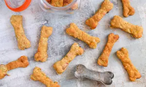 Galletas caseras para perros con forma de hueso, perfectas para aprender como hacer galletas para perros.