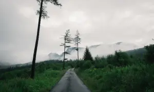 Mglista pogoda w górach. Droga wije się przez zielony las, a w oddali widać zarys szczytów.