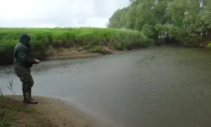 Ein Angler steht im Regen am Ufer eines Flusses und wirft seine Angel aus. Grüne Ufer und Bäume säumen das Wasser.