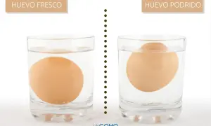 Un huevo fresco se hunde, uno podrido flota. Aprende como saber si un huevo esta bueno con este sencillo truco.