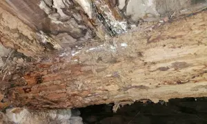 Madera podrida y con moho, un problema que requiere saber como eliminar el moho de la madera para restaurarla.