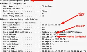 Co to jest host sieci: kluczowe informacje o jego roli i funkcjach