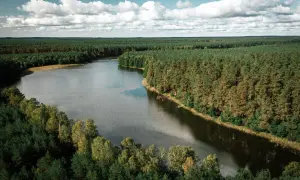 Malownicze jezioro otoczone lasem. Sprawdź jezioro miłoszewskie cennik i zaplanuj wypoczynek.