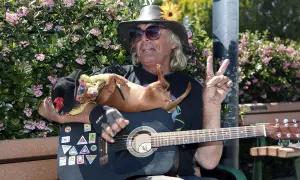 Mann mit Gitarre und Hund, ein Symbol der Hippie-Kultur. Friedenszeichen und Blumen schmücken den friedlichen Moment.
