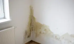 Widoczne dziwne plamy na ścianie w rogu pokoju, przypominające pleśń, rozciągają się od parapetu okiennego w dół.