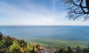 Widok z punktu widokowego Gosań na spokojne morze i piaszczystą plażę. Drzewa na pierwszym planie tworzą naturalną ramę.